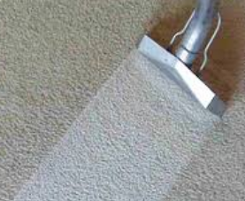 Professional Carpet Cleaning in Orlando Florida using professional  truckmounted equipment. Steam cleaning for residential and commercial in  Orlando Florida.